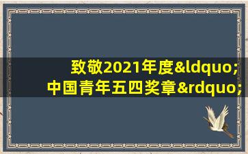 致敬2021年度“中国青年五四奖章”