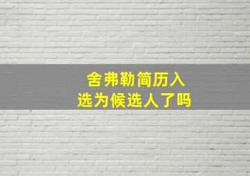 舍弗勒简历入选为候选人了吗