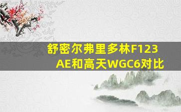 舒密尔弗里多林F123AE和高天WGC6对比