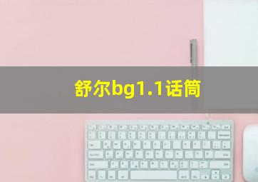 舒尔bg1.1话筒