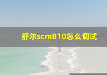 舒尔scm810怎么调试