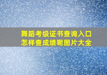 舞蹈考级证书查询入口怎样查成绩呢图片大全