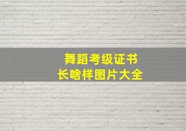 舞蹈考级证书长啥样图片大全