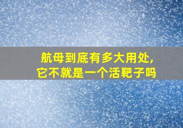 航母到底有多大用处,它不就是一个活靶子吗