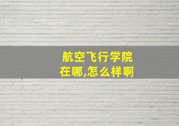 航空飞行学院在哪,怎么样啊