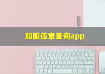 船舶违章查询app