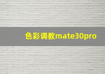 色彩调教mate30pro