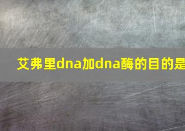 艾弗里dna加dna酶的目的是