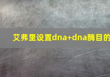 艾弗里设置dna+dna酶目的