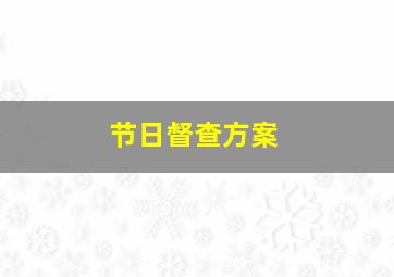 节日督查方案