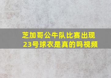 芝加哥公牛队比赛出现23号球衣是真的吗视频