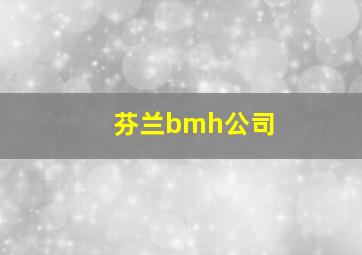 芬兰bmh公司