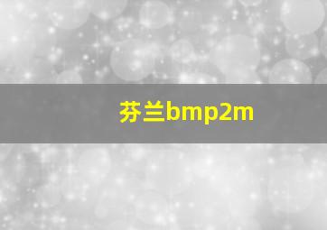 芬兰bmp2m