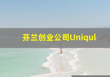 芬兰创业公司Uniqul