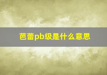 芭蕾pb级是什么意思