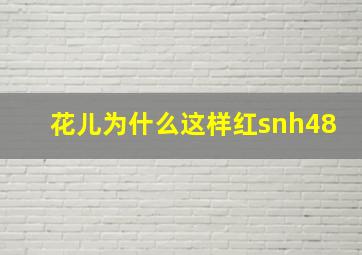 花儿为什么这样红snh48