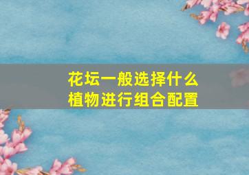 花坛一般选择什么植物进行组合配置