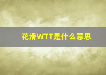 花滑WTT是什么意思