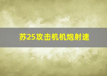 苏25攻击机机炮射速