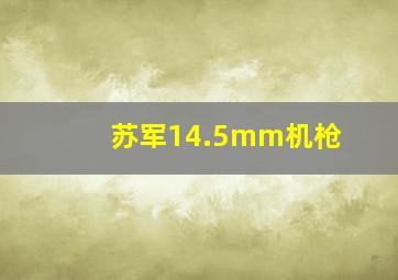 苏军14.5mm机枪