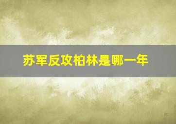 苏军反攻柏林是哪一年