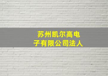 苏州凯尔高电子有限公司法人