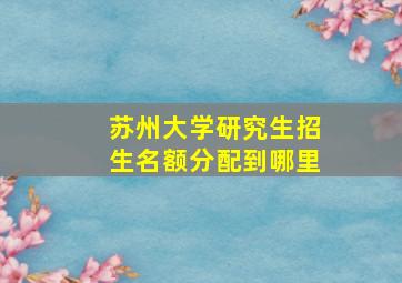 苏州大学研究生招生名额分配到哪里