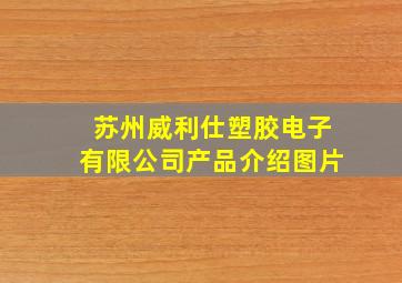 苏州威利仕塑胶电子有限公司产品介绍图片