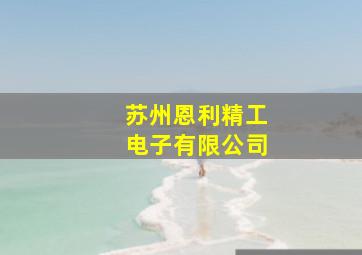 苏州恩利精工电子有限公司