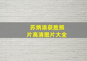 苏炳添获胜照片高清图片大全