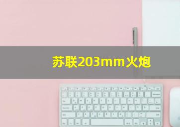 苏联203mm火炮