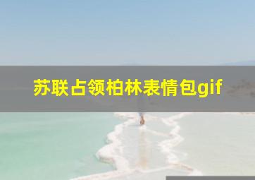 苏联占领柏林表情包gif