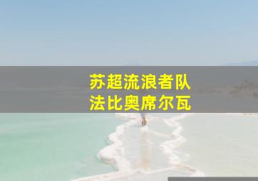 苏超流浪者队法比奥席尔瓦