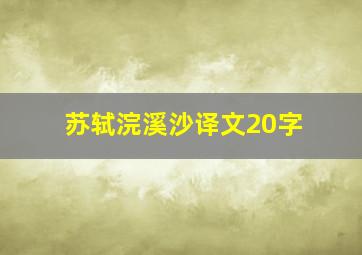 苏轼浣溪沙译文20字