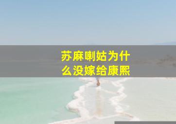 苏麻喇姑为什么没嫁给康熙