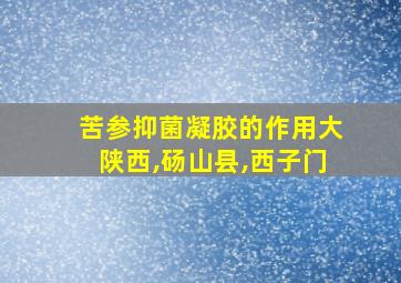 苦参抑菌凝胶的作用大陕西,砀山县,西子门