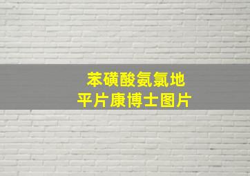 苯磺酸氨氯地平片康博士图片