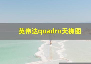 英伟达quadro天梯图