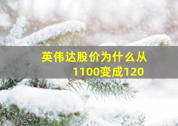 英伟达股价为什么从1100变成120