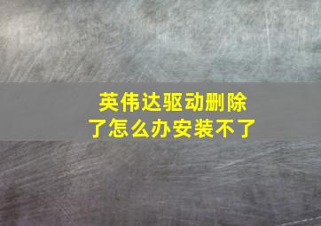 英伟达驱动删除了怎么办安装不了