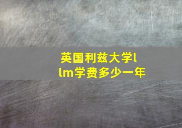 英国利兹大学llm学费多少一年