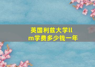 英国利兹大学llm学费多少钱一年