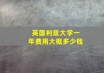 英国利兹大学一年费用大概多少钱