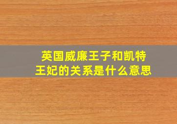 英国威廉王子和凯特王妃的关系是什么意思