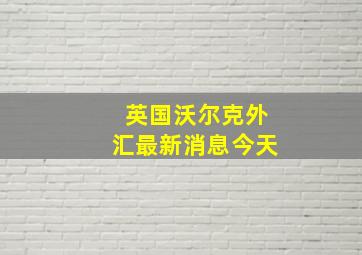 英国沃尔克外汇最新消息今天