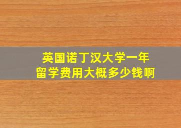 英国诺丁汉大学一年留学费用大概多少钱啊