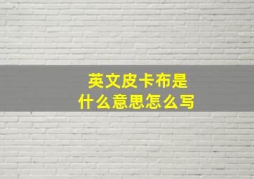 英文皮卡布是什么意思怎么写