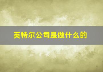 英特尔公司是做什么的