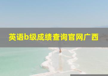 英语b级成绩查询官网广西