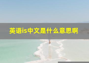 英语is中文是什么意思啊